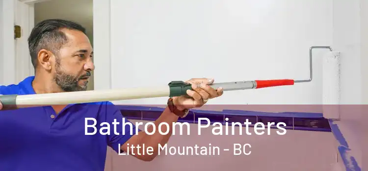  Bathroom Painters Little Mountain - BC