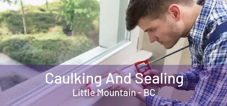  Caulking And Sealing Little Mountain - BC