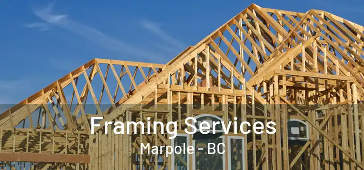  Framing Services Marpole - BC