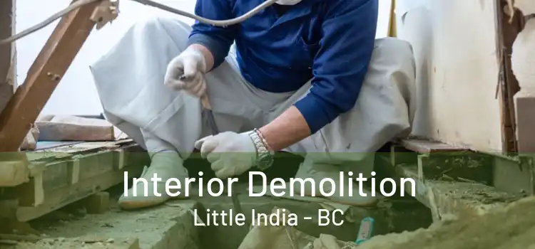  Interior Demolition Little India - BC