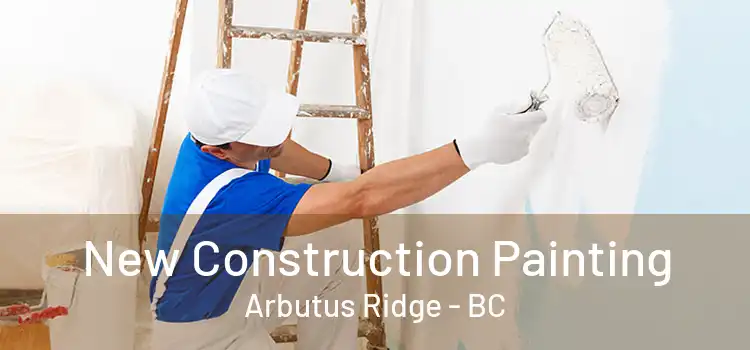  New Construction Painting Arbutus Ridge - BC