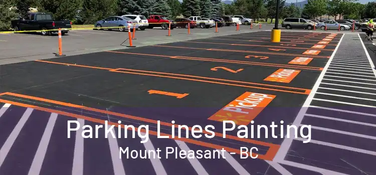  Parking Lines Painting Mount Pleasant - BC