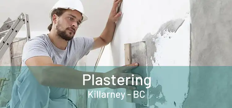  Plastering Killarney - BC